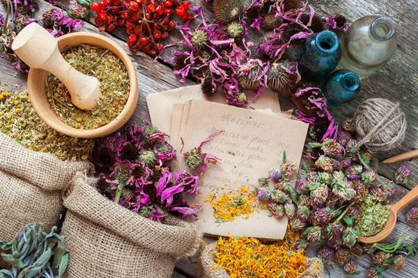 healing-plants-(1)