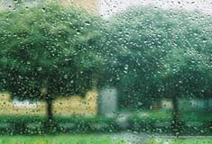 rain