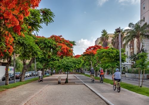 shutterstock_2196942357